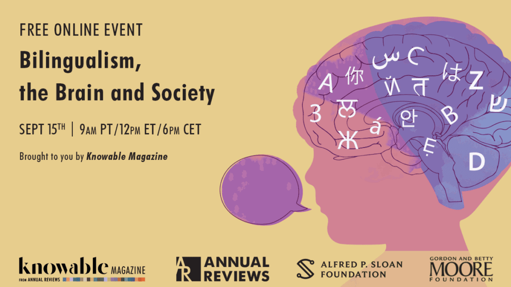 Bilingualism, the Brain and Society 1 reset 11 twitter 1200x675 1