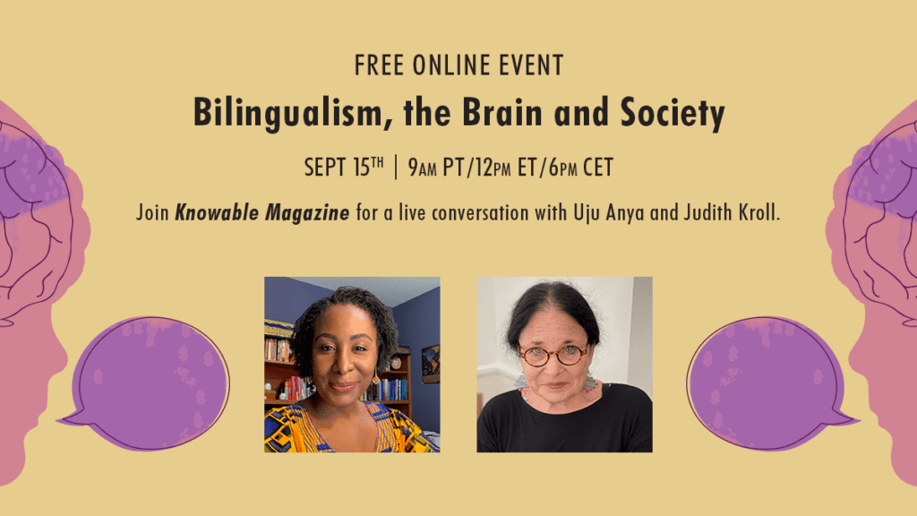 Bilingualism, the Brain and Society 2 reset 11 twitter headshots 1200x675 1